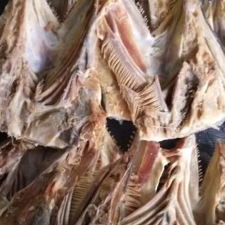 

KEPALA IKAN TELANG TENGGIRI