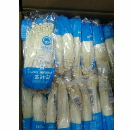 

jamur enoki