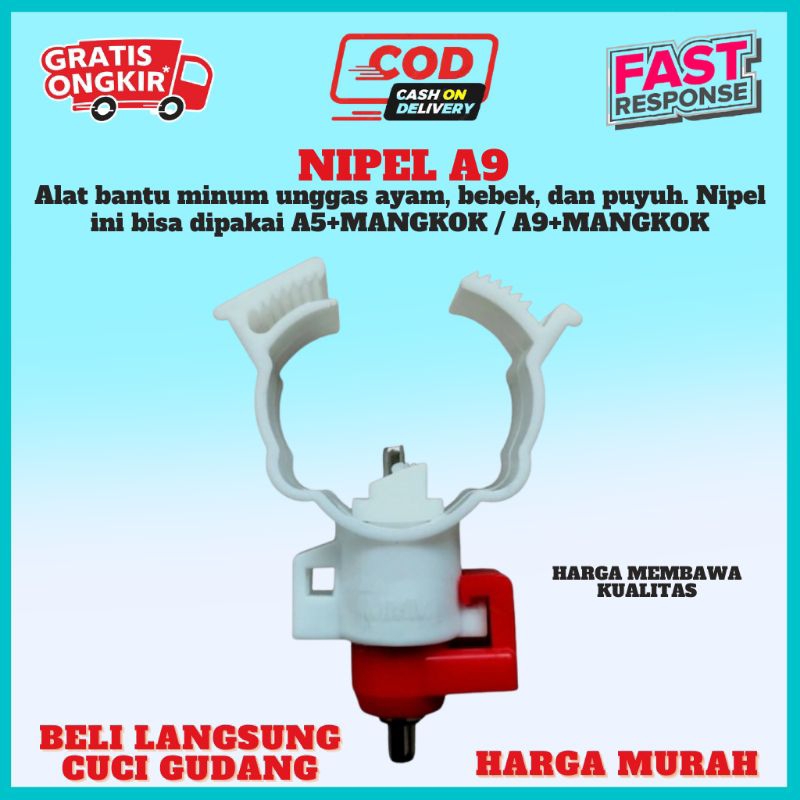 Nipel ayam a9 tanpa mangkok