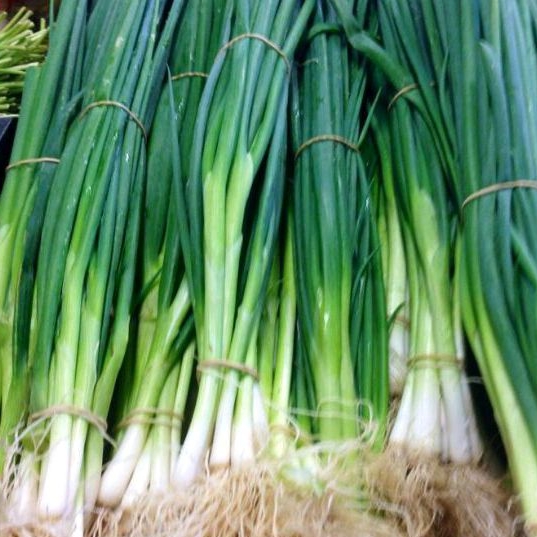 

Daun bawang 1 kg Green onions
