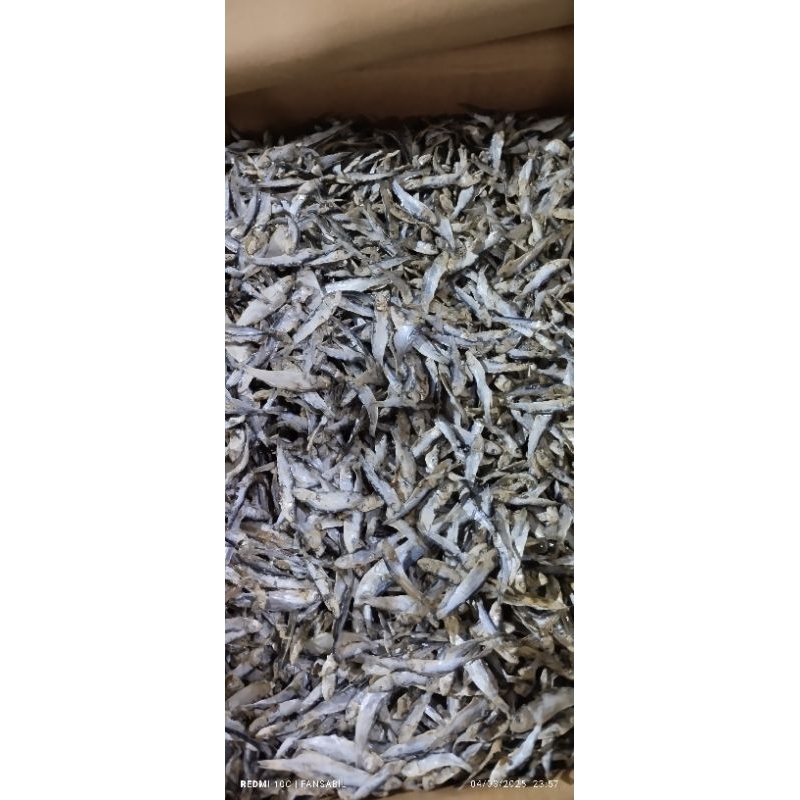 

1kg sampenit/anak lamuru halus -super (grosir)