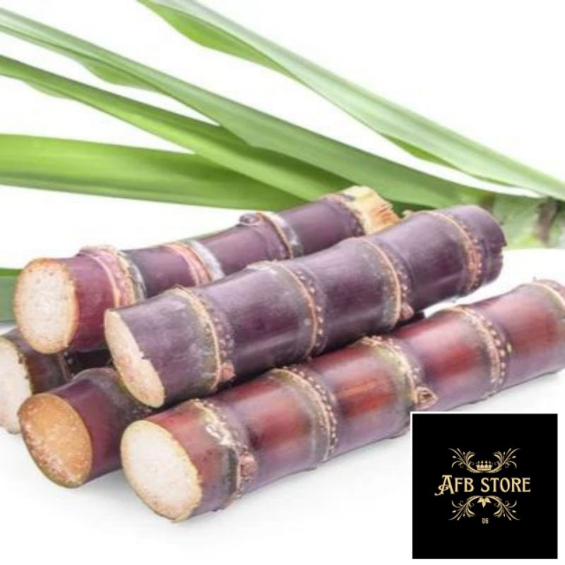 

Tebu Merah Segar Isi Per 1Kg