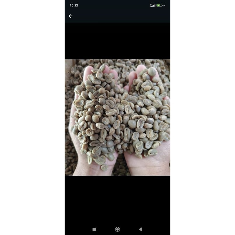 

Biji Kopi full wash ijen raung 500gram
