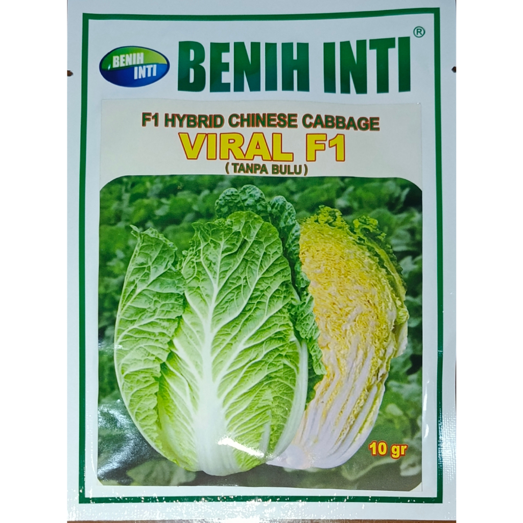 

Sawi Putih F1/Sawi Viral 10 Gr F1 Tanpa Bulu/Topica/CR Fuji F1