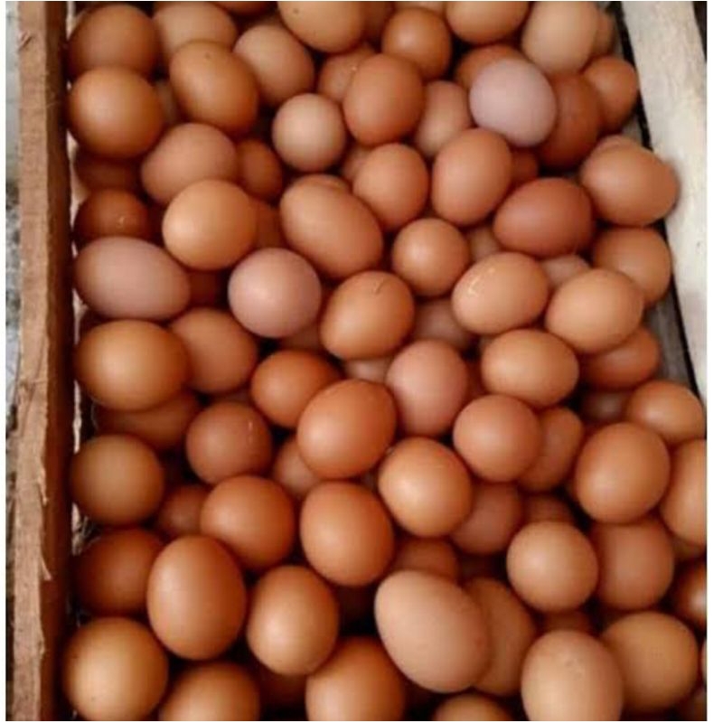 

telur ayam 500 gram