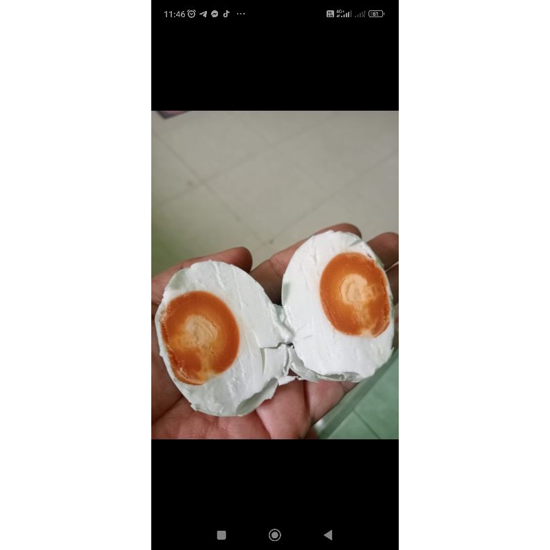 

TELUR ASIN SEGAR 500 GR ISI 10 BUTIR