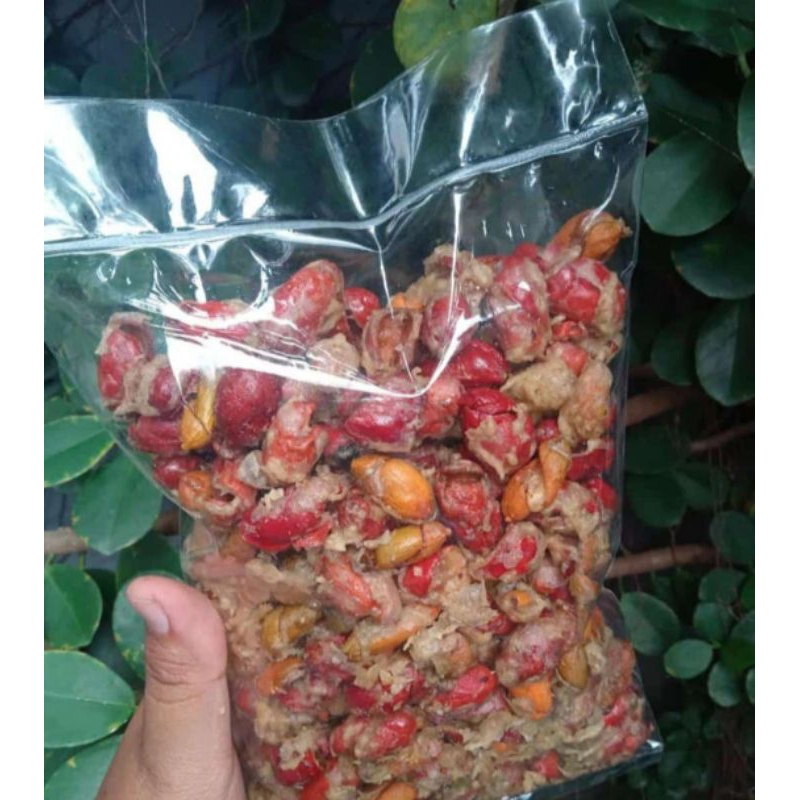 

Kulit Melinjo tepung