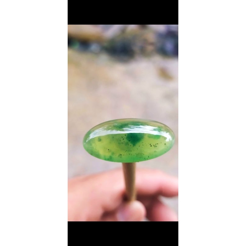 Batu Cincin Lumut Sungai Dareh Jumbo