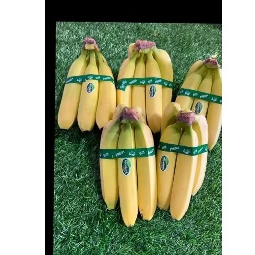 

pisang CANDEVIS per KG
