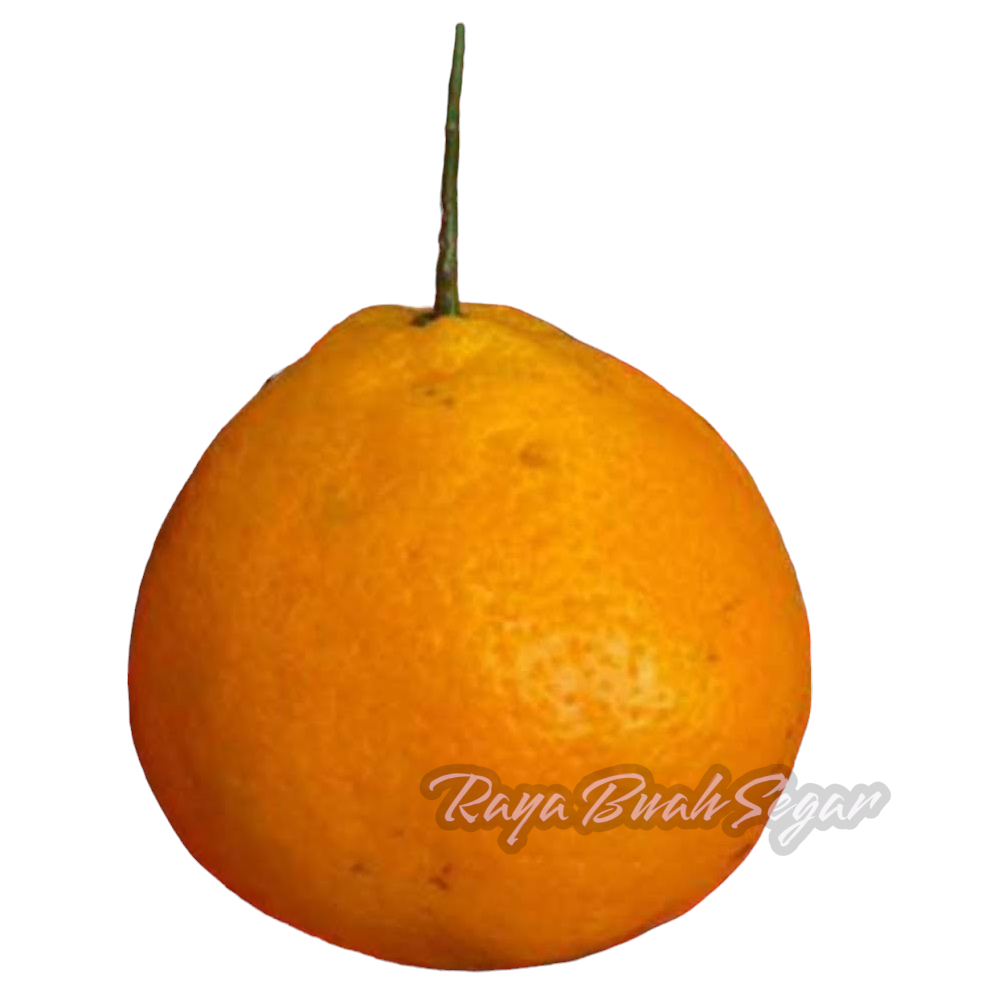 

Jeruk Decopon 1000g Buah Import Segar Pilihan