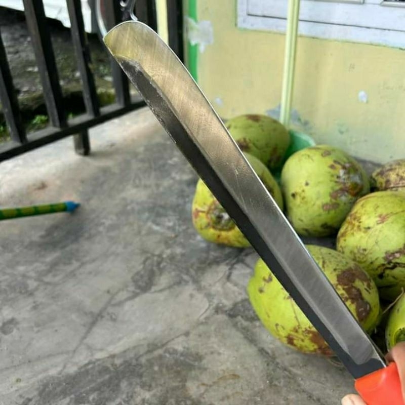 kls palm king pro p pisau kls palm king pro