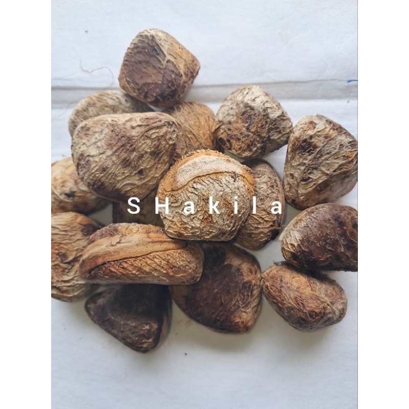 

buah picung atau klewek tua 1 kg