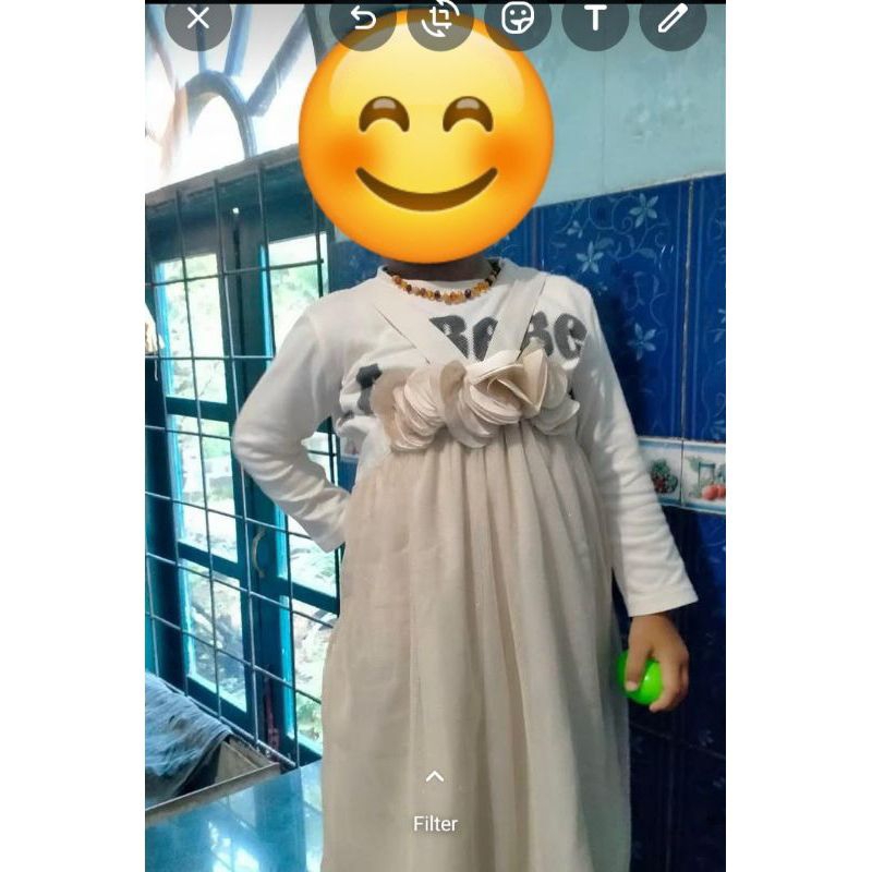 gingersnaps preloved