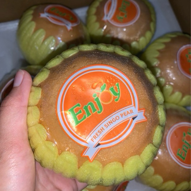 

buah pir singo | buah pir korea