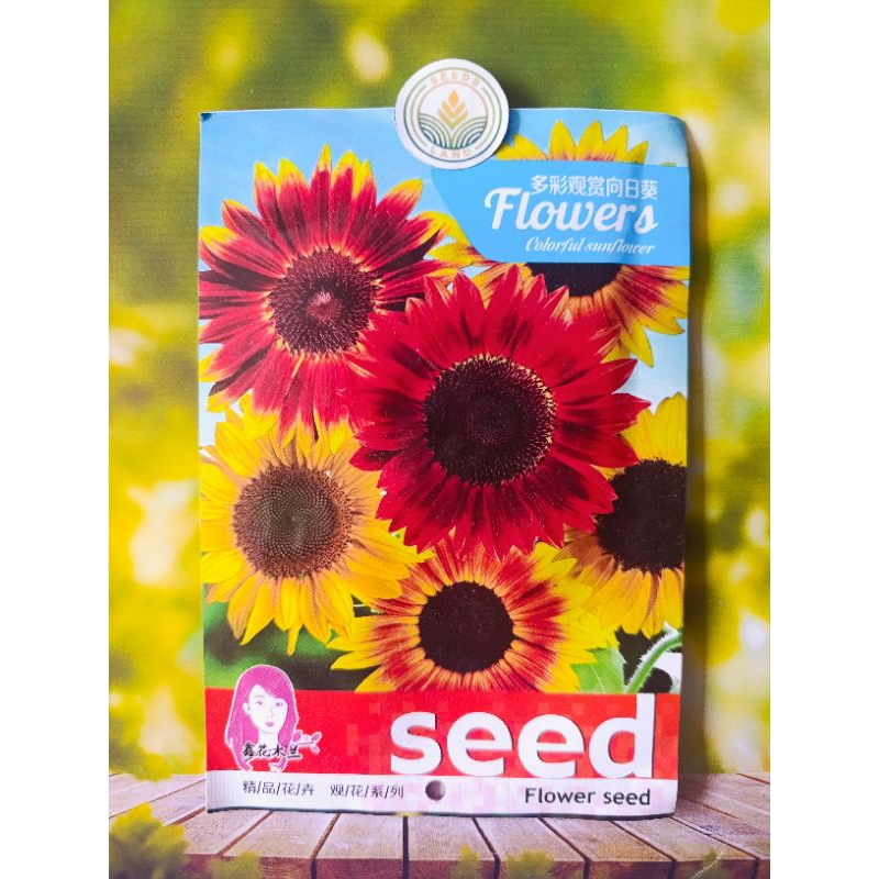BIJI BENIH BUNGA MATAHARI WARNA MIX IMPOR KEMASAN ORIGINAL -+ 100 BUTIR