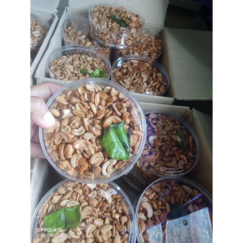 

Kancang Mente Pecah Matang