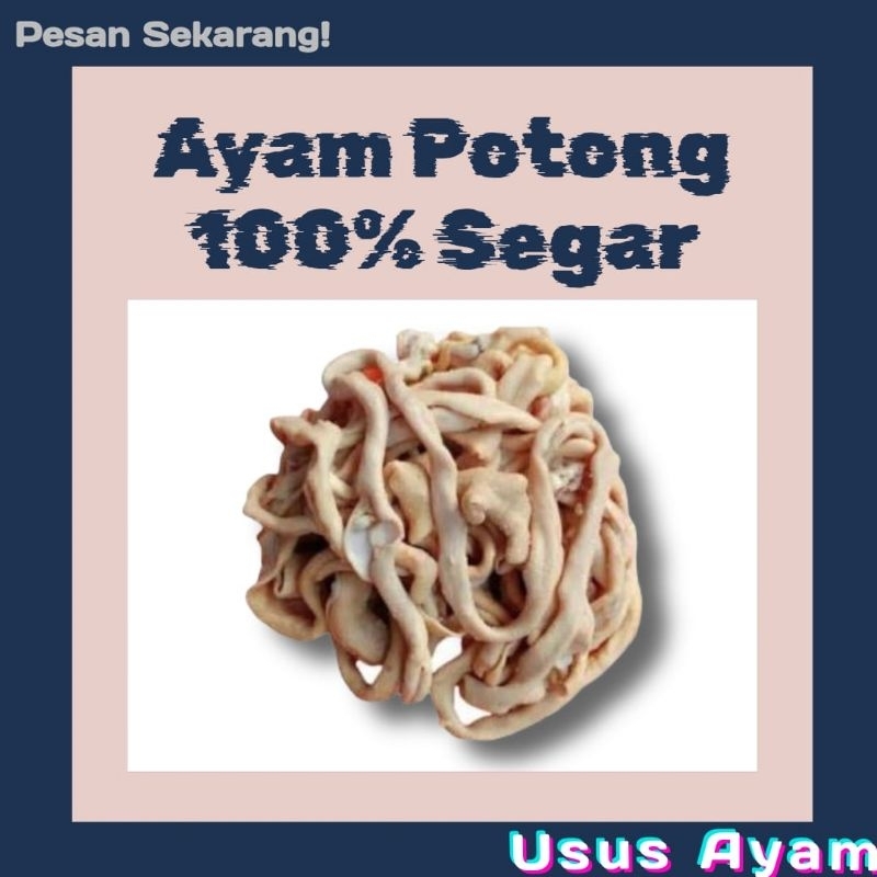 

Usus Ayam Bersih tanpa telih segar fresh Bandung Cimahi