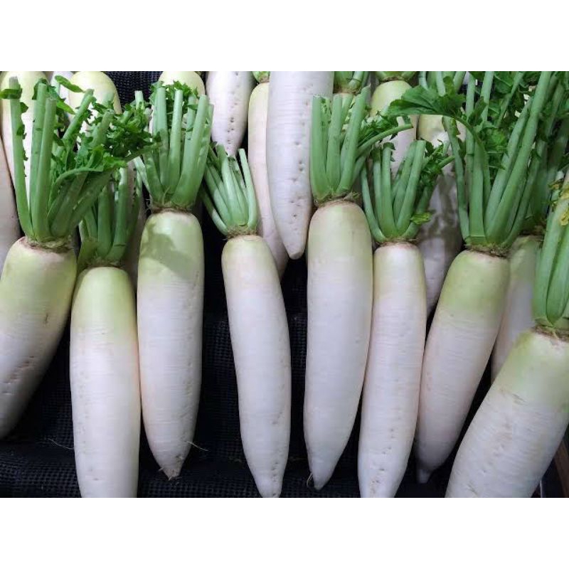 

Sayur Lobak Putih Segar 500 gram