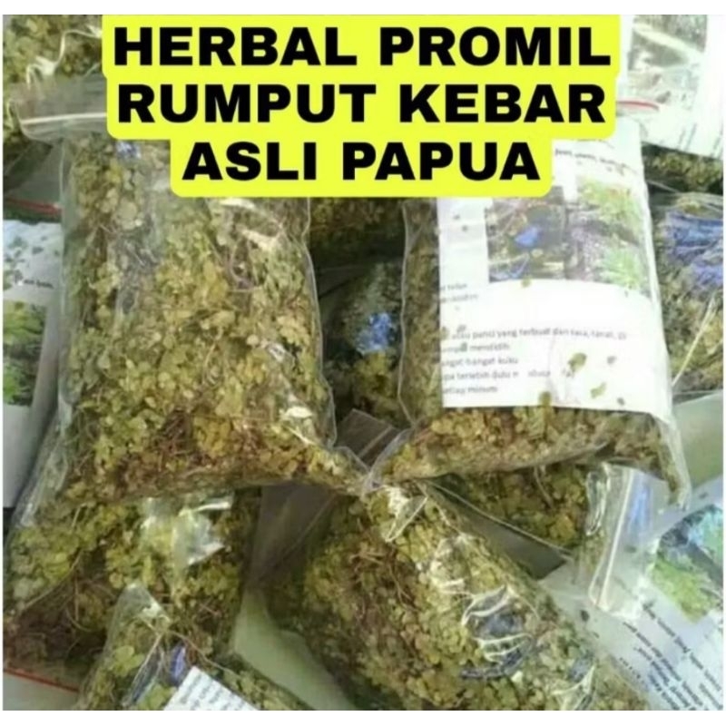 

RUMPUT KEBAR PAPUA ASLI kemasan 100gr