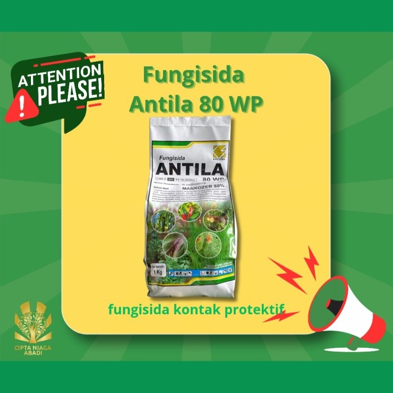 Fungisida Antila 80 WP
