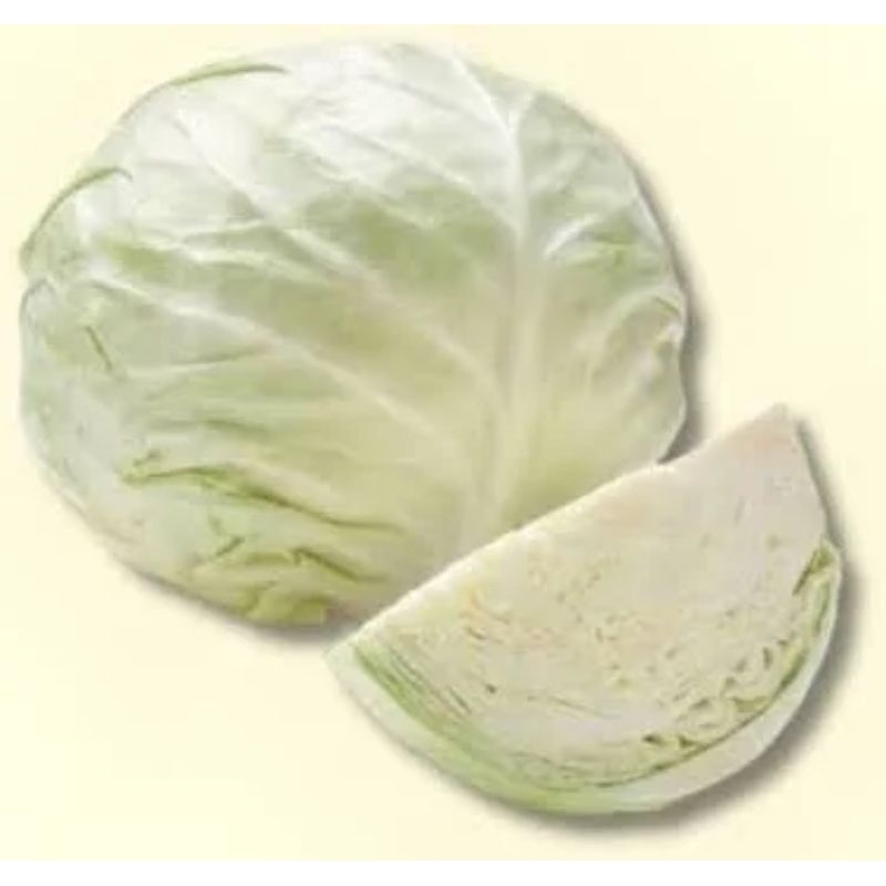 

Kubis Segar dari Bandar Lampung - Makanan & Minuman Beku