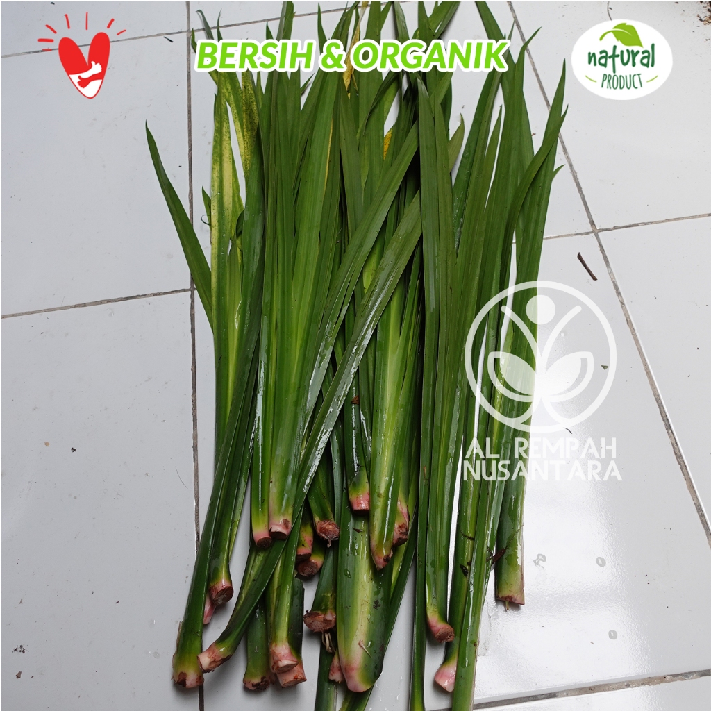 

Daun Dlingo Segar 1kg Dari Alam dan Alami