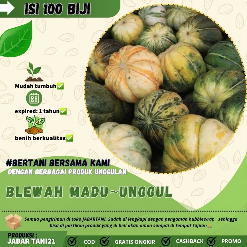100 biji- BENIH BIJI BLEWAH MADU|BLEWAH MANIS UNGGUL