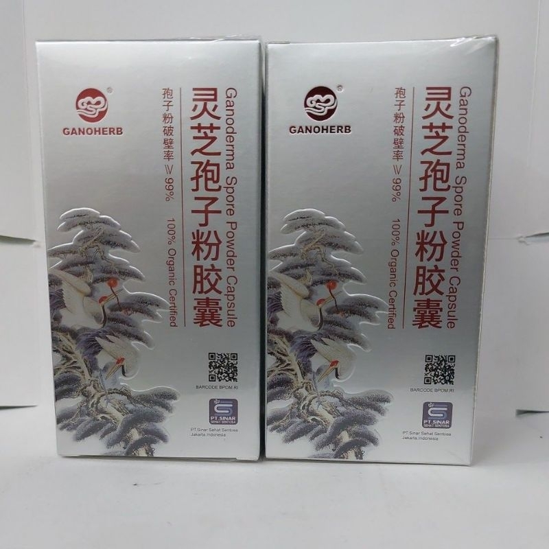 Ganoderma Spore Powder isi 80 kapsul