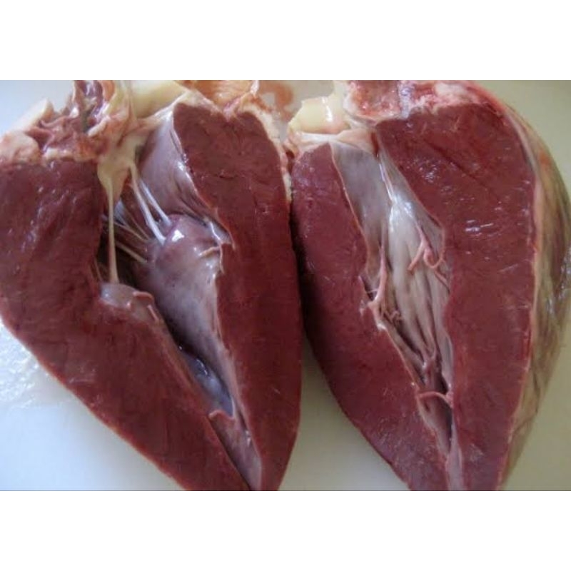

Jantung Sapi Beku 1 Kg