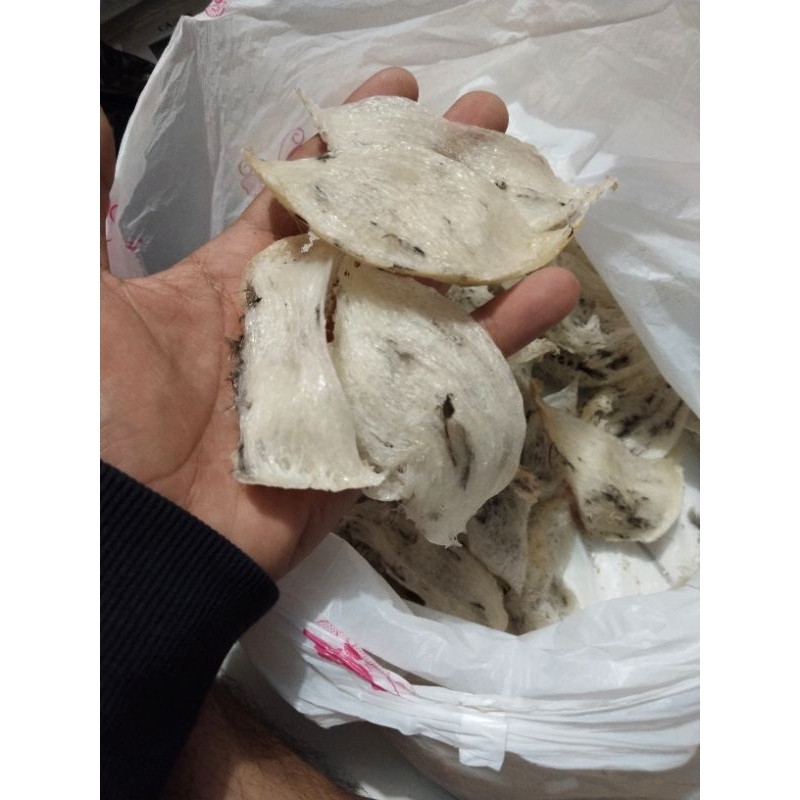 

SUDUT/PATAHAN sarang walet original masih alami 100% hasil dari sulawesi tengah