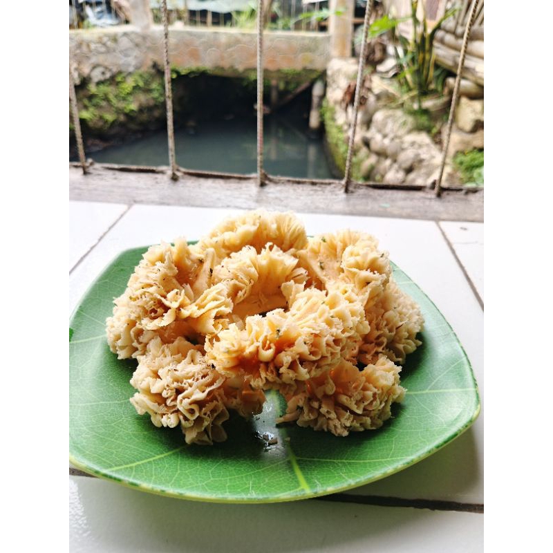 

Snack Jawer Ayam / Snack Sirkam