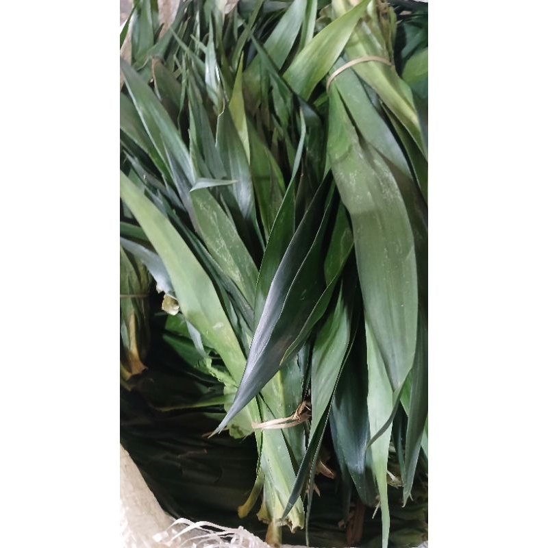 

daun suji 1kg PROMO