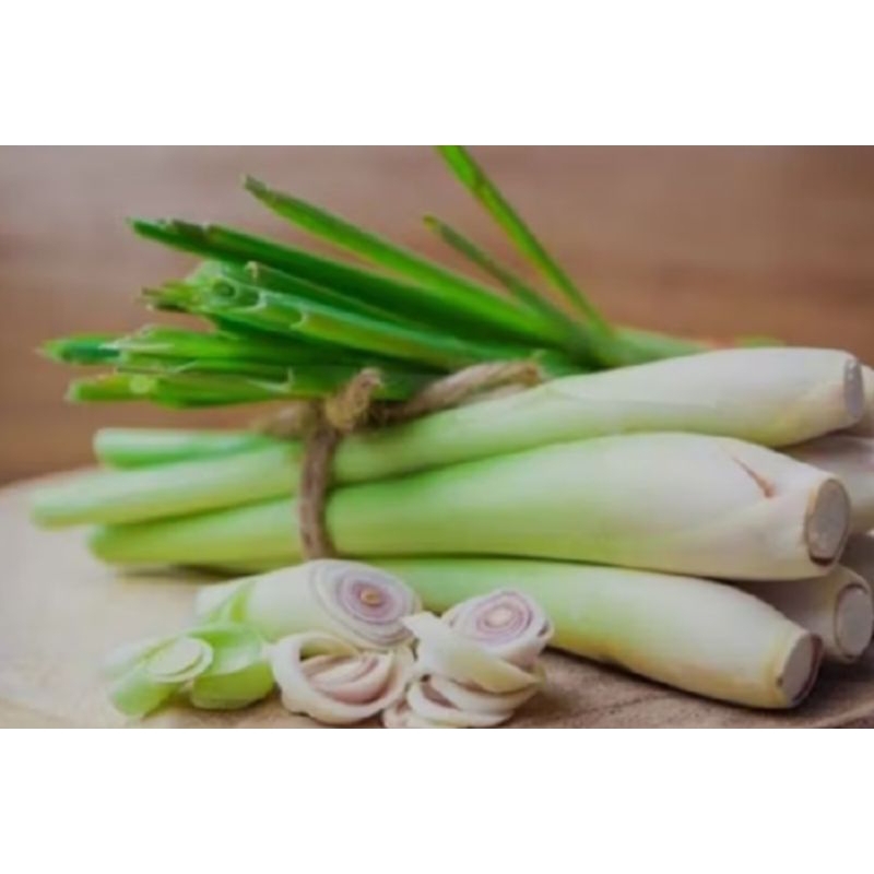 Ramuan pereda nyeri sakit gigi