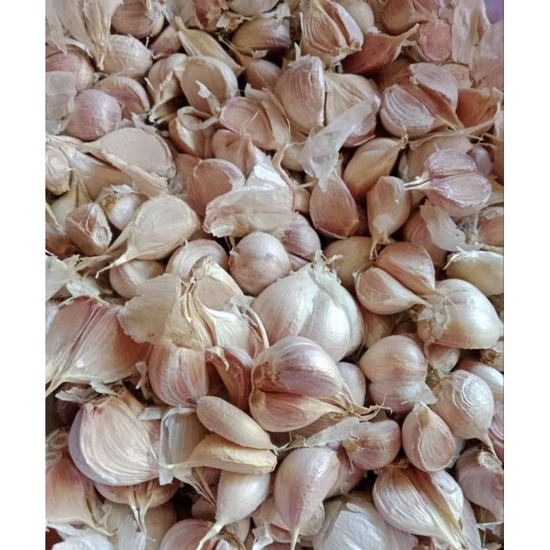 

Bawang Putih Kating Protolan 500gr