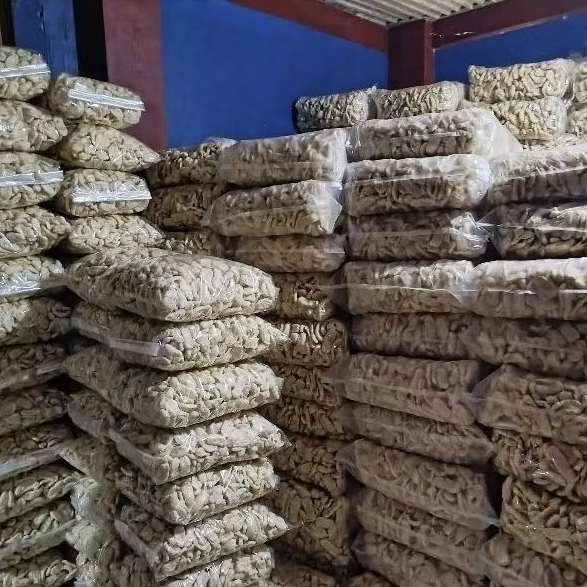 

CUANKI LIDAH JUMBO | ISI 500pcs