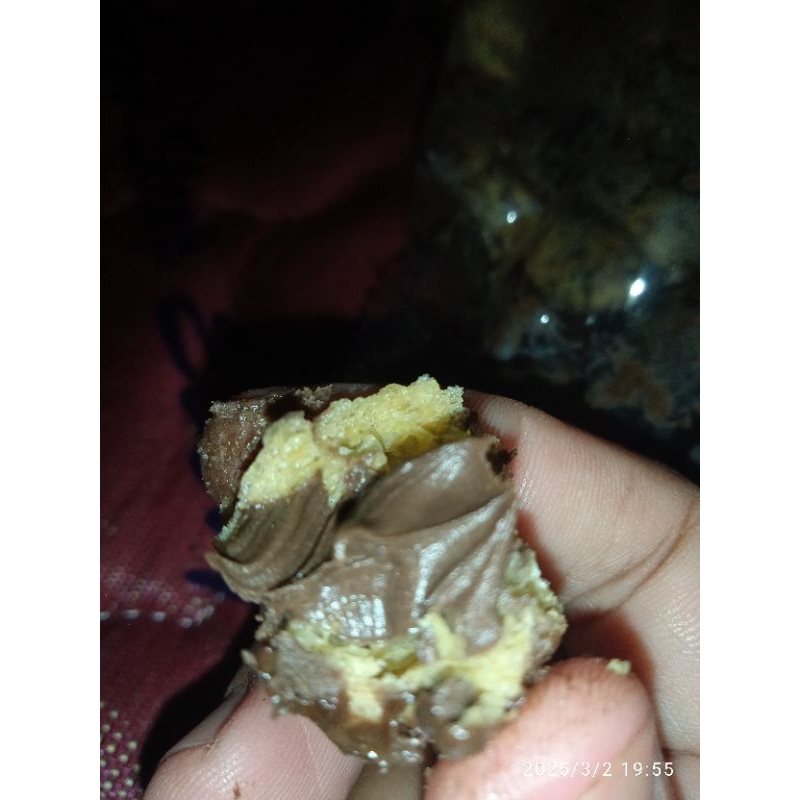 

1/2kg SOES COKLAT RIJEK PABRIK