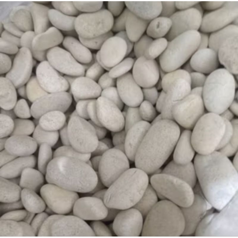 Batu taman putih 1 kg/termurah/Batu coral putih kupang/batu kupang /batu taman putih