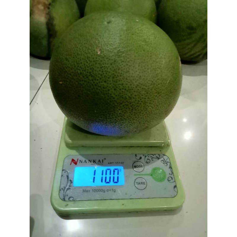 

(1 KG) Jeruk Pamelo Madu asli Pati lereng Muria Garansi 100%