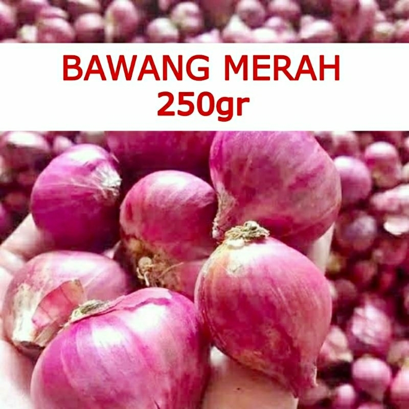 

Bawang Merah 250gram Termurah Fresh Kering