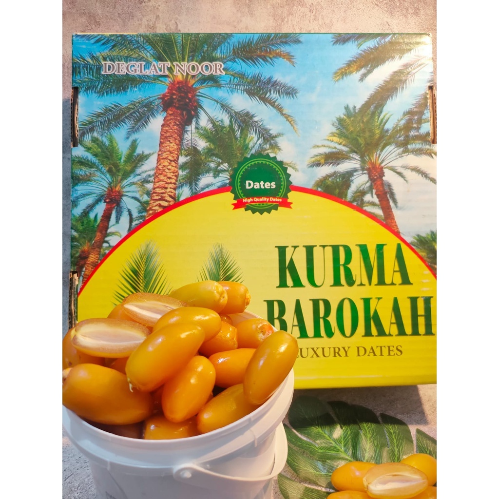 

Kurma Ruthob 5 kg