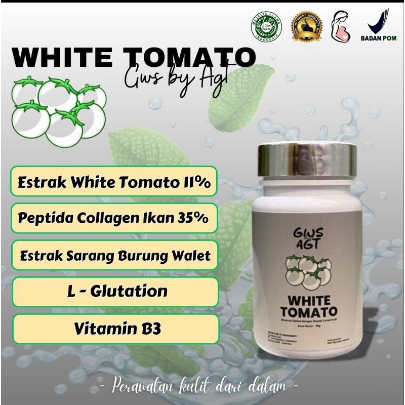 

3 PCS WHITE TOMATO GWS BY AGT
