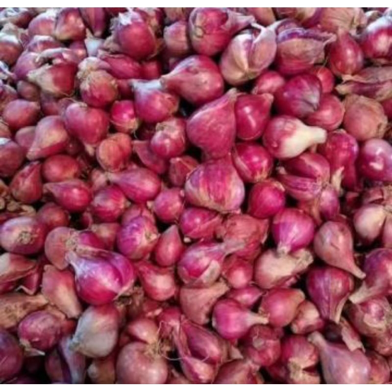 

Bawang merah brebes fresh 1kg ukuran campur super murah