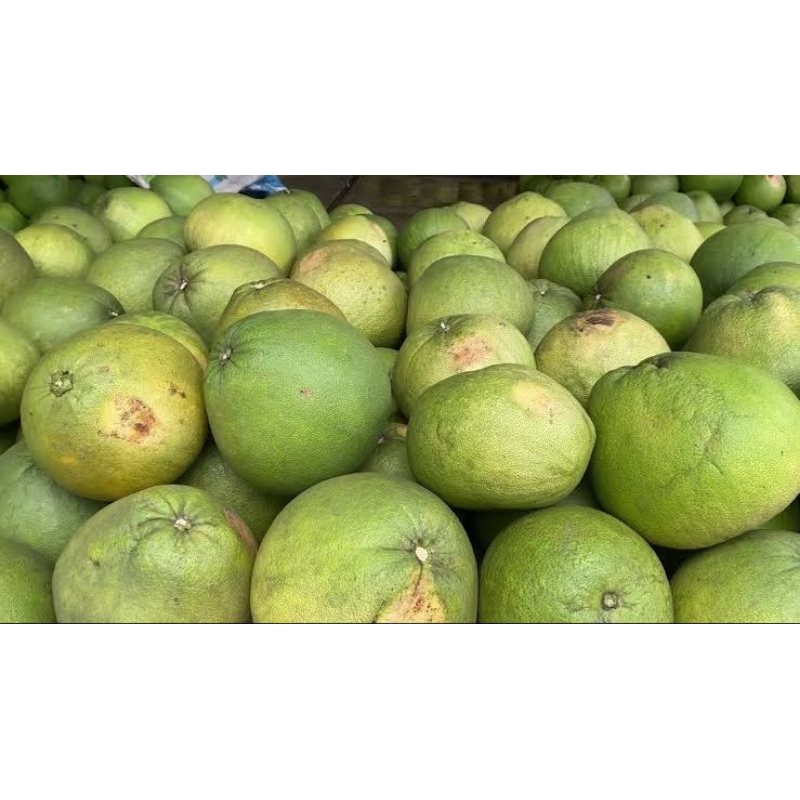 

Jeruk Pamelo Muria segar berat 800 gram