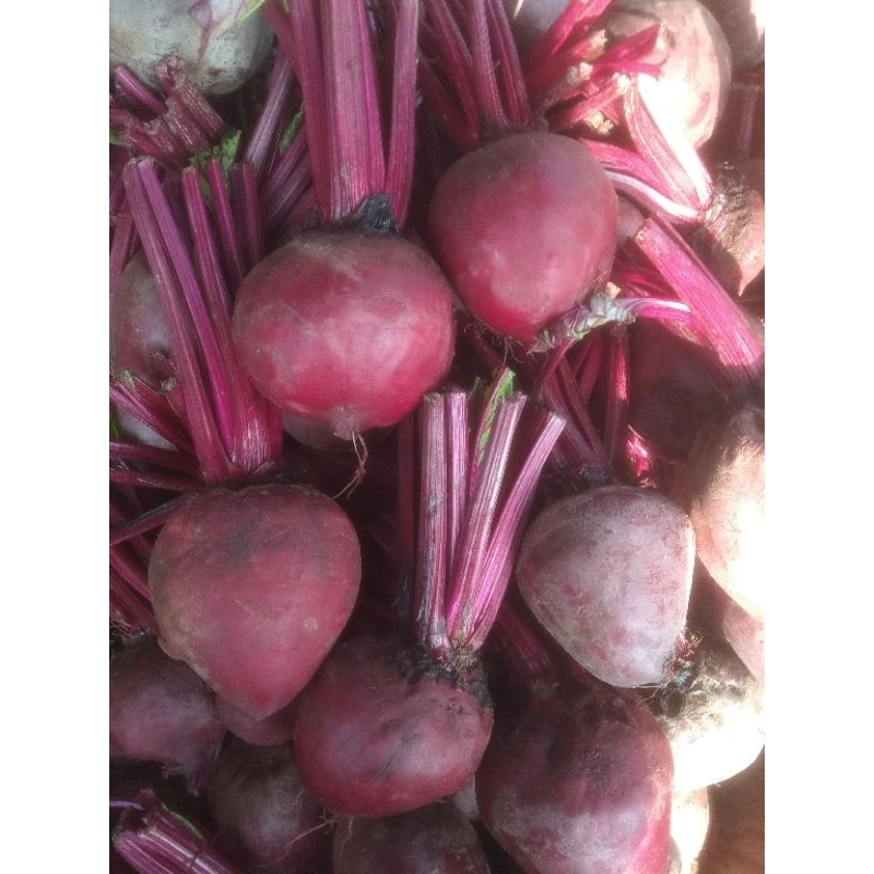 

Buahbit/Beetroot