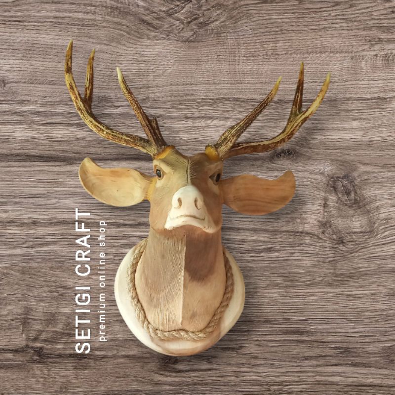 PREMIUM Hiasan Dinding Kepala Rusa Tanduk Asli Size L