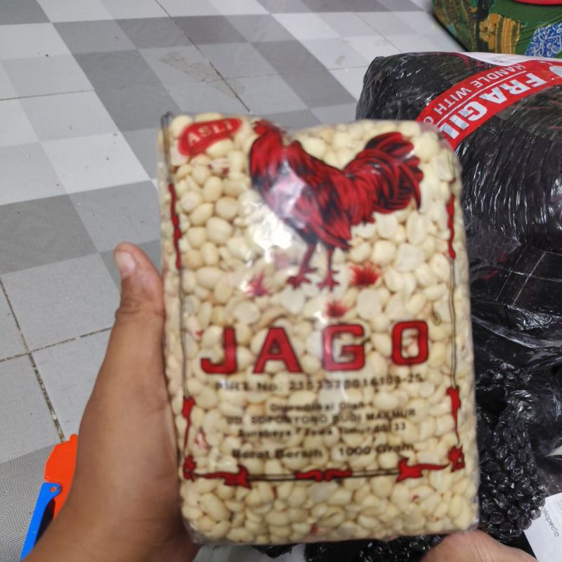

kacangtanahkupaskecil