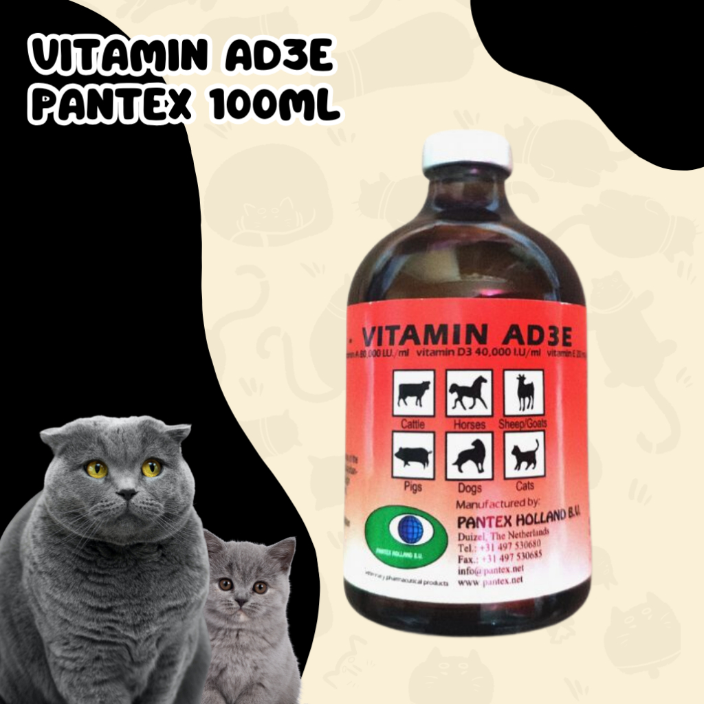 Vitamin AD3E Holland - Vitamin AD3E Injeksi - Pantex Holland AD3E - Vitamin Sapi Majir - Obat Sapi M
