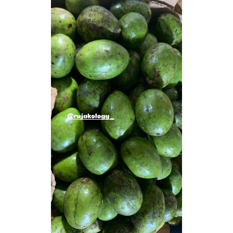 

KEDONDONG BANGKOK FRESH