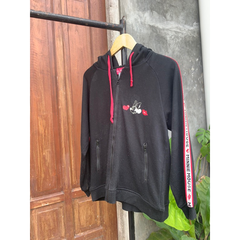 Zip Hoodie DISNEY RESORT