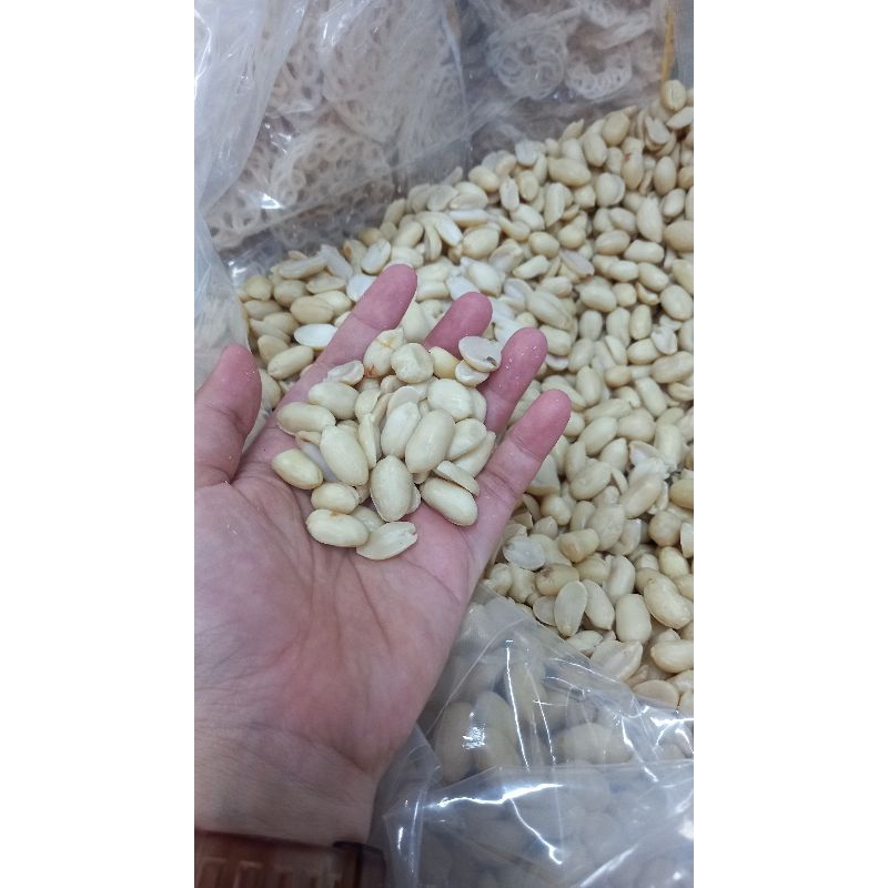 

KACANG KUPAS LICI JUMBO 1 KG